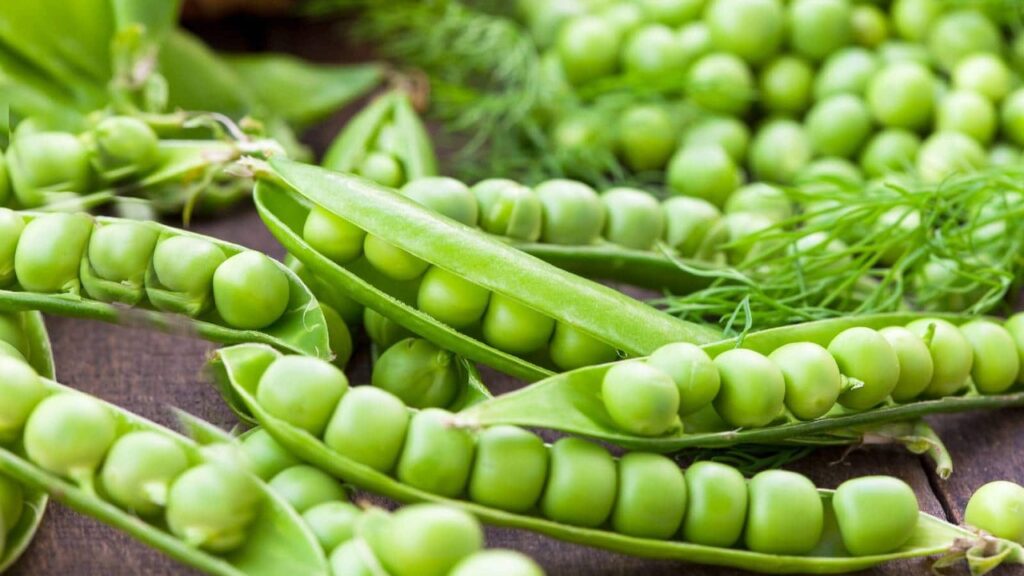 Health: Green peas can also harm the health of some people