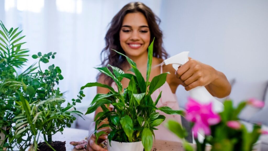 Growing this plant at home will bring happiness and financial prosperity