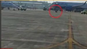 Dog running on the ramp of Ahmedabad airport: Question on the performance of the airport authority