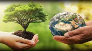 World Environment Day: Take this resolution on the occasion of Environment Day