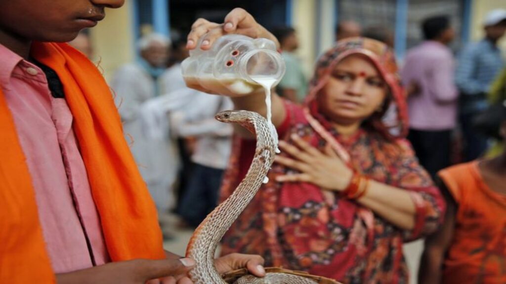 Know on which day will the festival of Nagpanchami come? How do you worship?