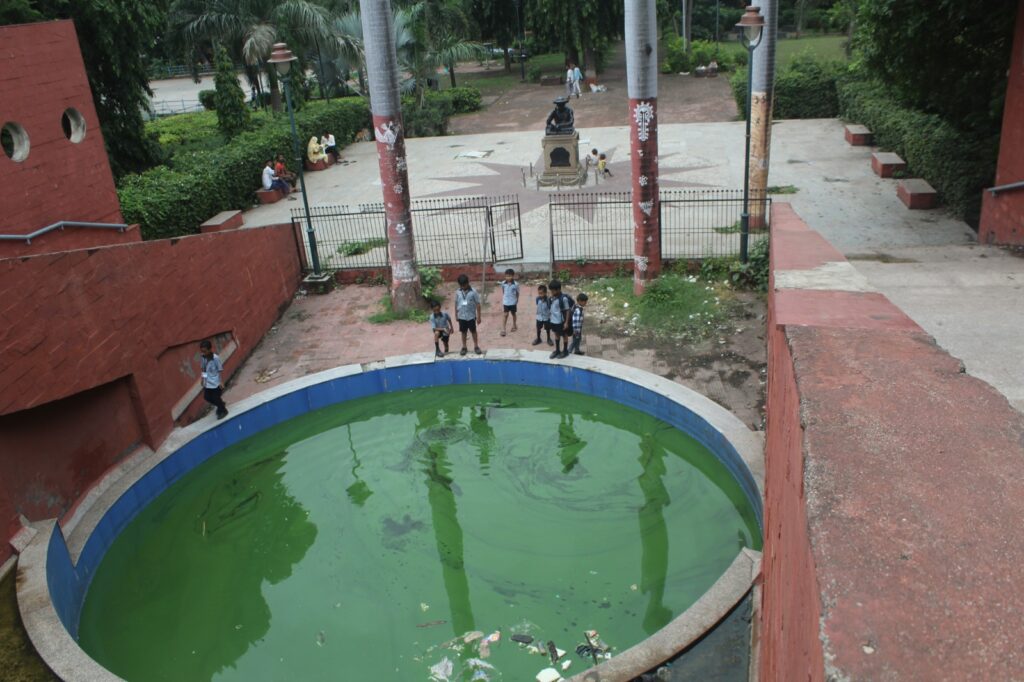 Today is the birth anniversary of the poet Narmad but there is a lot of dirt near the statue of Gandhi Bagh