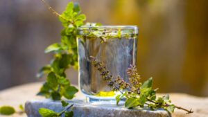 Do you know the benefits of drinking Tulsi water?