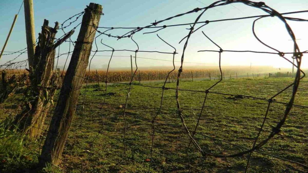 Farmers of South Gujarat will now get assistance in constructing barbed wire fences within two hectares