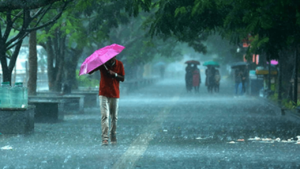 Light to heavy rain forecast in the state for the next one week