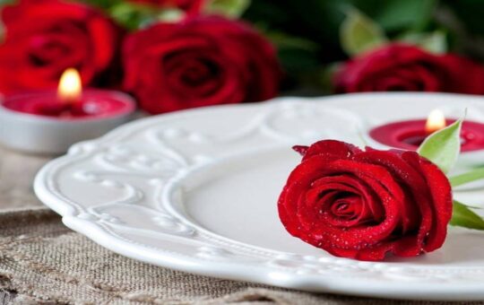 Not only for expressing love, rose flower is also beneficial for health