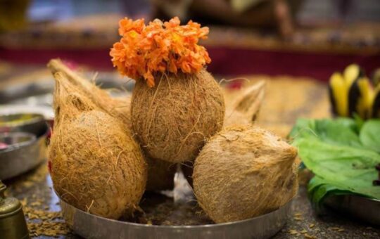 Why are coconuts and betel nuts so important in the worship of the goddess?