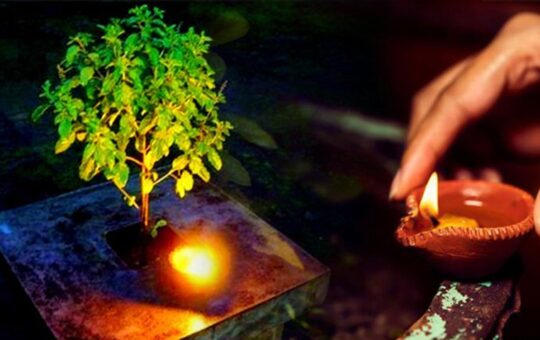 Why celebrate the day of Tulsi Pujan?