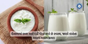 Buttermilk and curd keep the stomach healthy in summer, know the different benefits of both